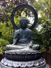 Buddha