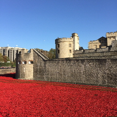 Tower of London 